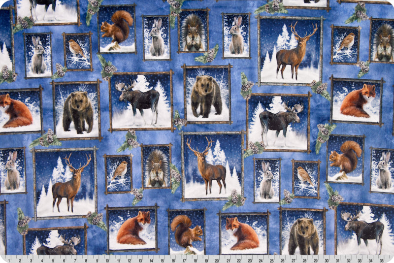 Shannon Fabrics Digital Cuddle Frosty Frames Multi Minky Fabric