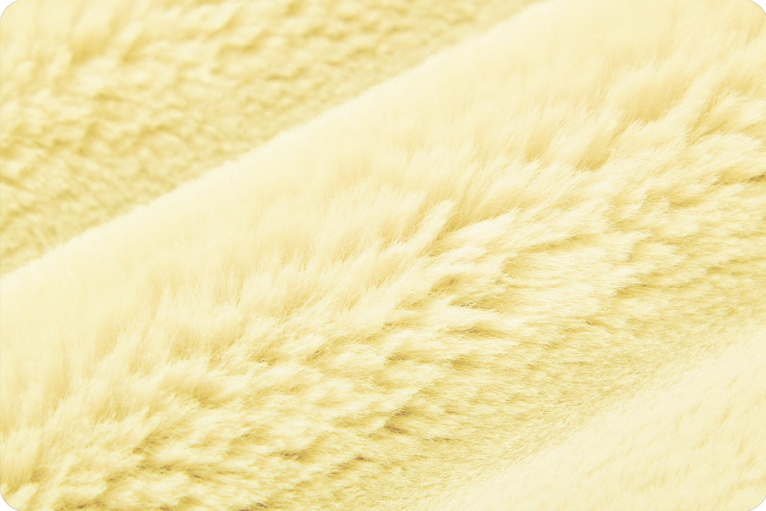 Shannon Fabrics Luxe Cuddle Bunny Butter Minky Fabric