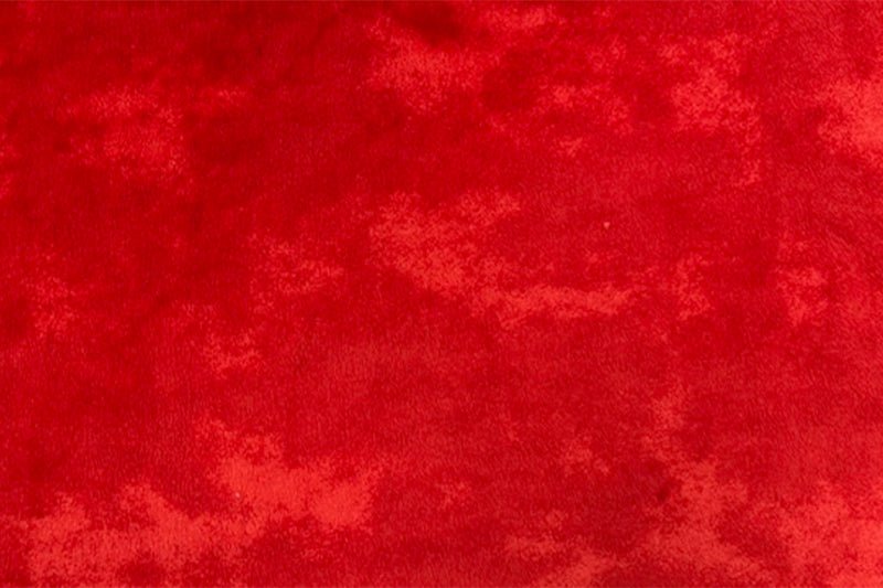Shannon Fabrics Extra Wide 90" Mist Cuddle Scarlet Minky Fabric - On Pins & Needles Quilting Co.