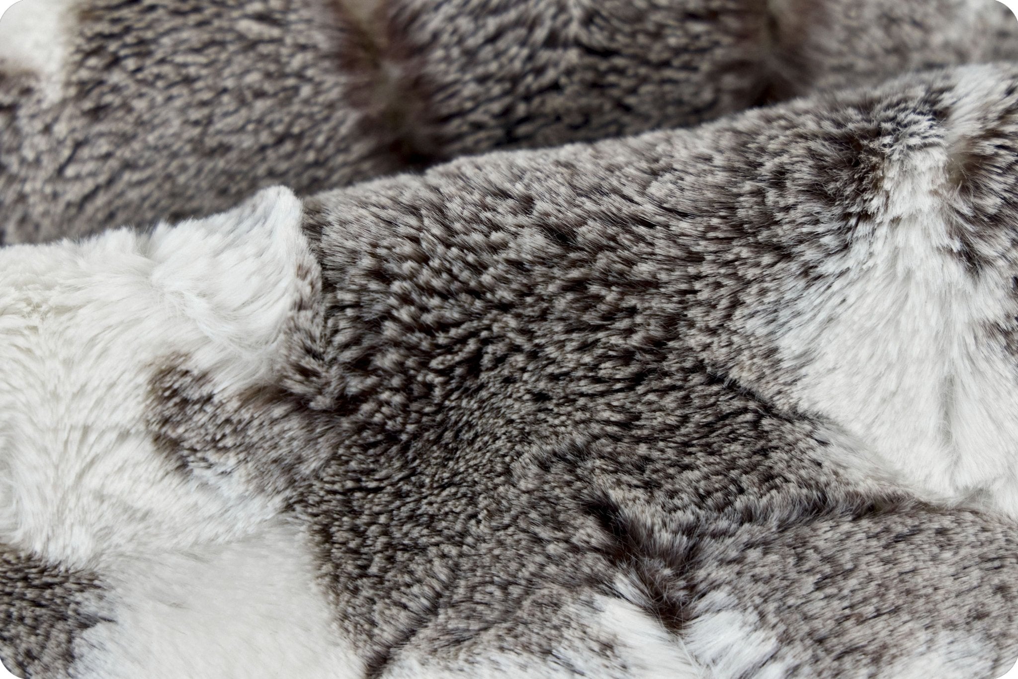 Shannon Fabrics Luxe Cuddle Baby Calf Chocolate Minky Fabric - On Pins & Needles Quilting Co.