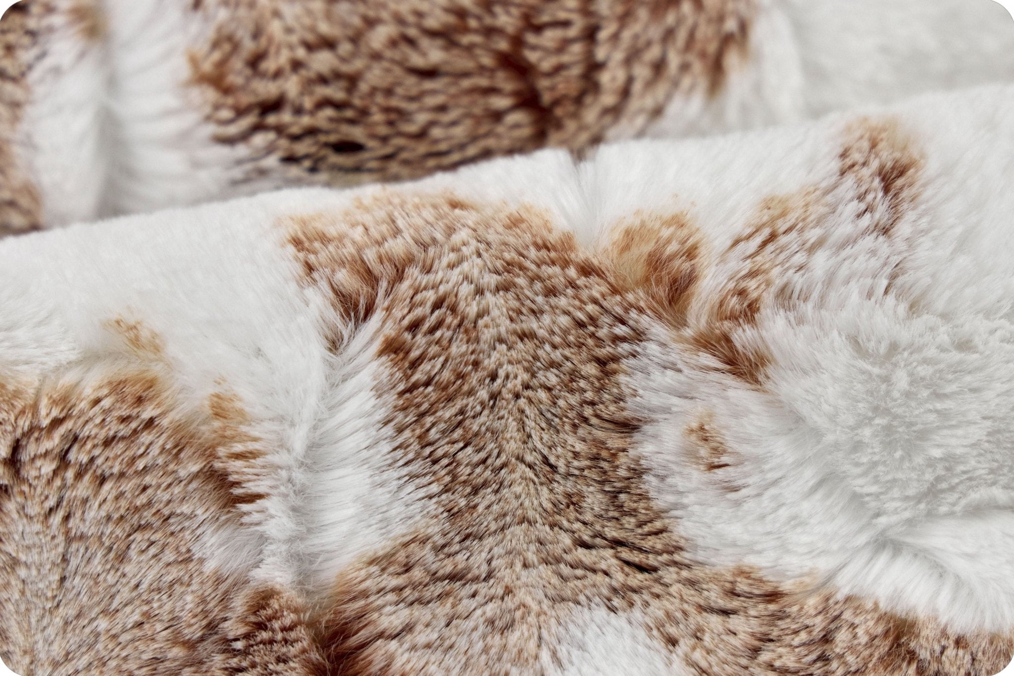 Shannon Fabrics Luxe Cuddle Baby Calf Woodland Minky Fabric - On Pins & Needles Quilting Co.