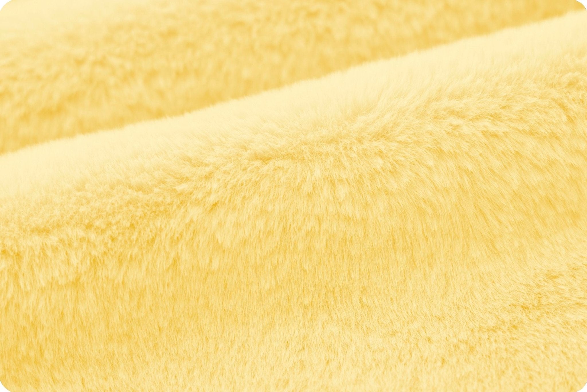 Shannon Fabrics Luxe Cuddle Encore Banana Minky Fabric - On Pins & Needles Quilting Co.