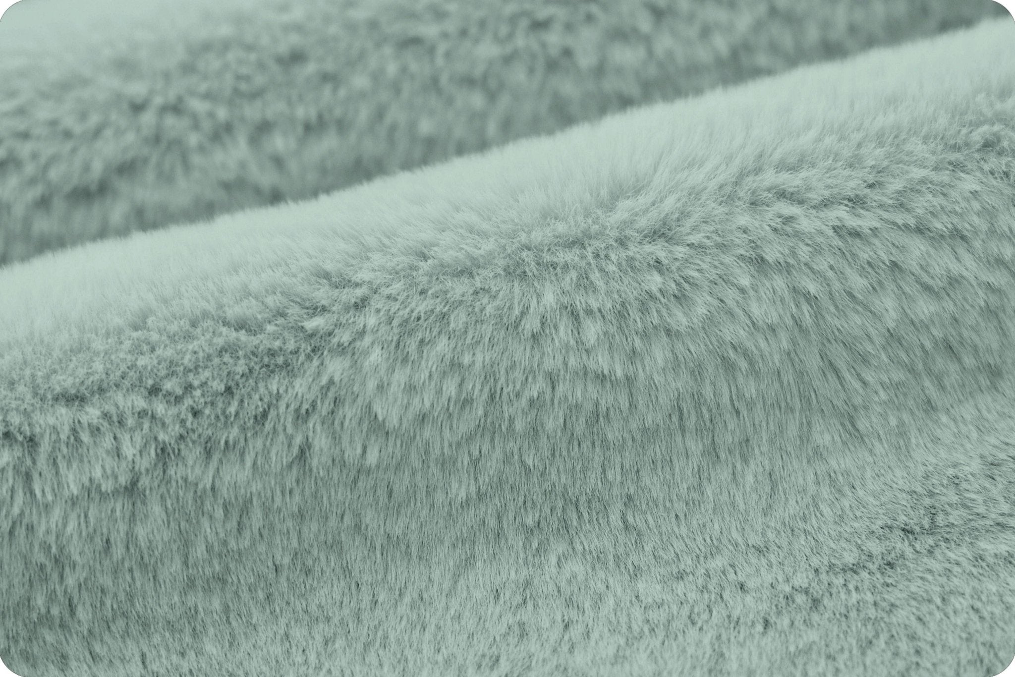 Shannon Fabrics Luxe Cuddle Encore Juniper Minky Fabric - On Pins & Needles Quilting Co.