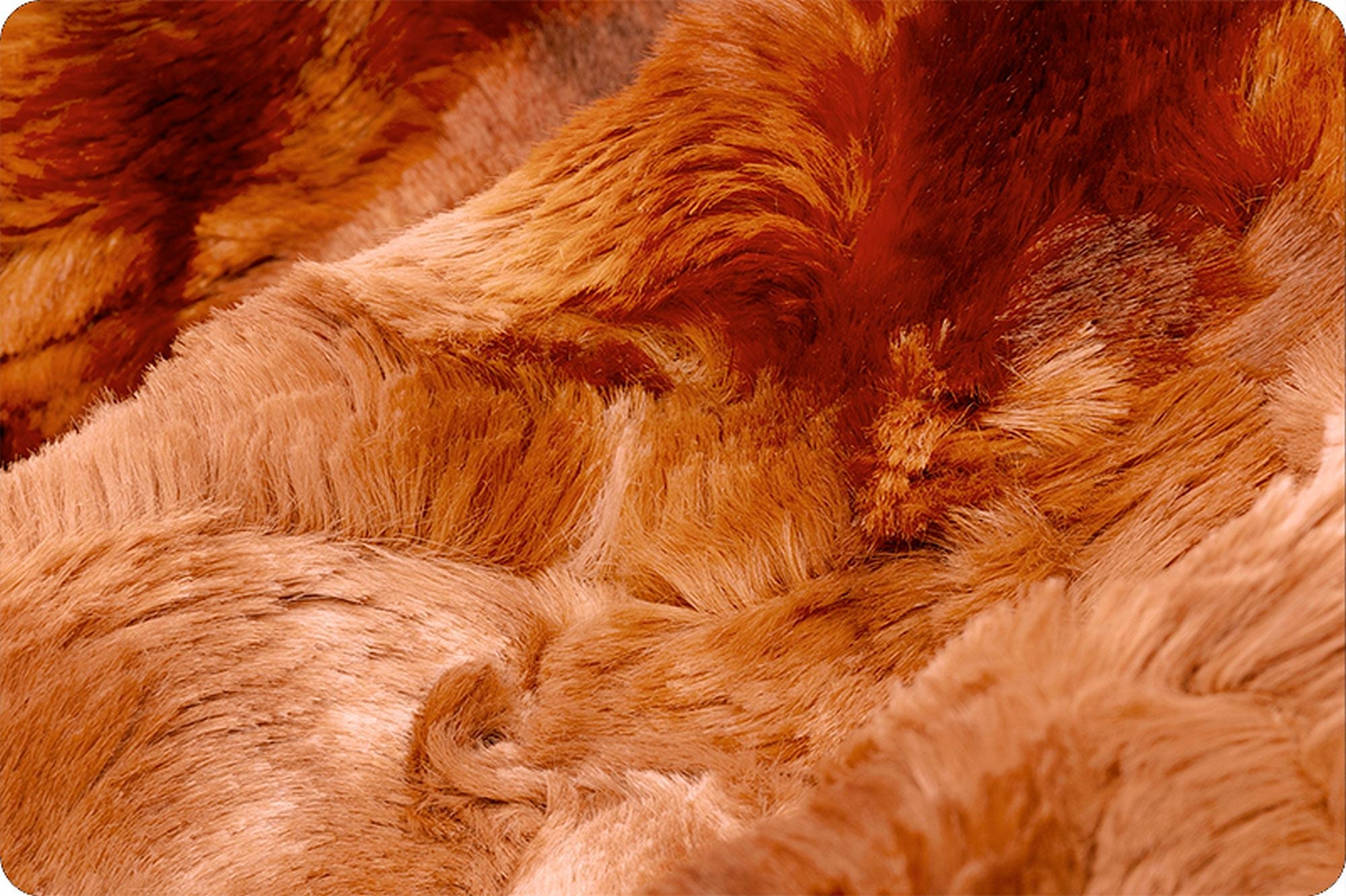 Shannon Fabrics Luxe Cuddle Galaxy Ginger Minky Fabric - On Pins & Needles Quilting Co.