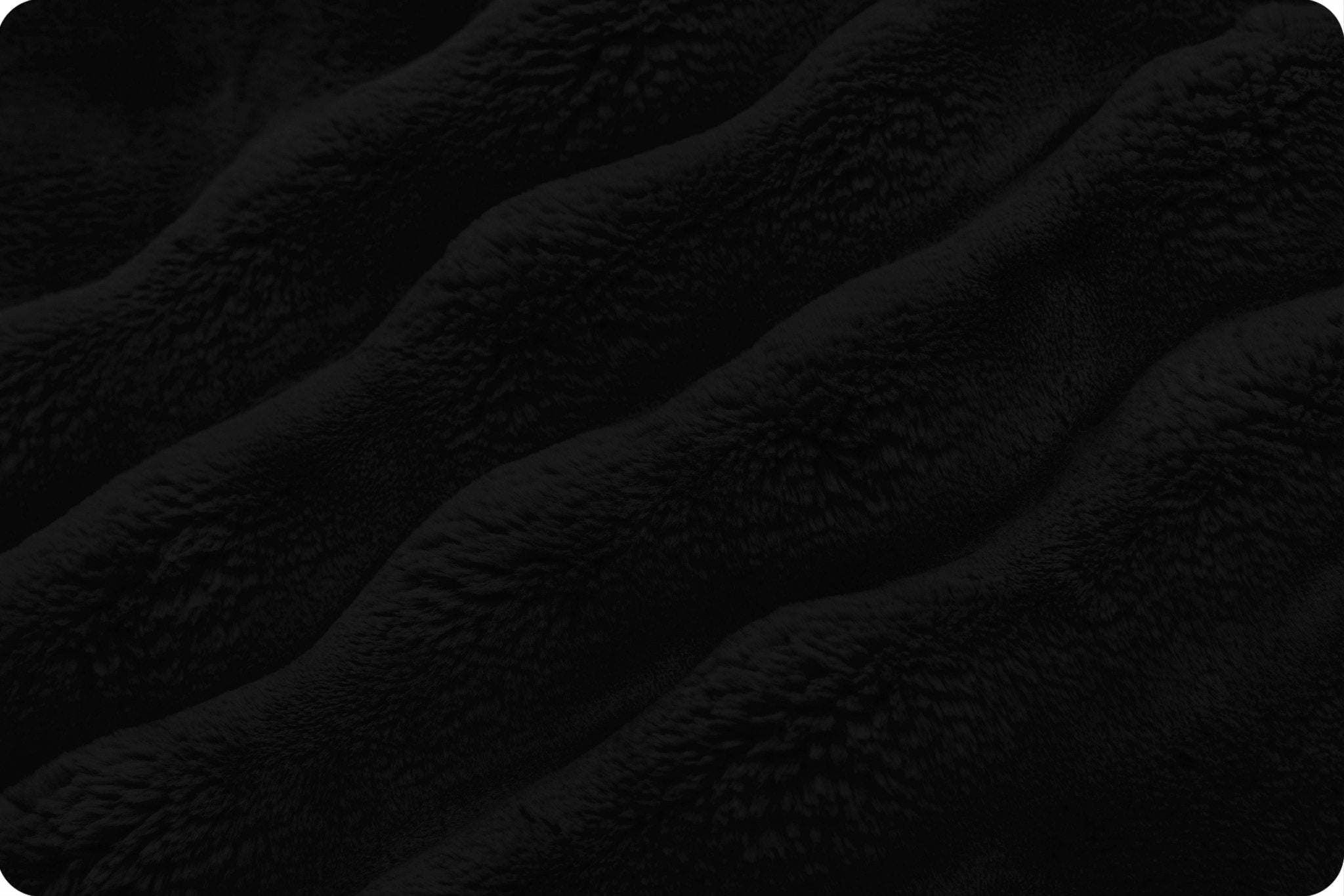 Shannon Fabrics Luxe Cuddle Powderpuff Black Minky Fabric - On Pins & Needles Quilting Co.
