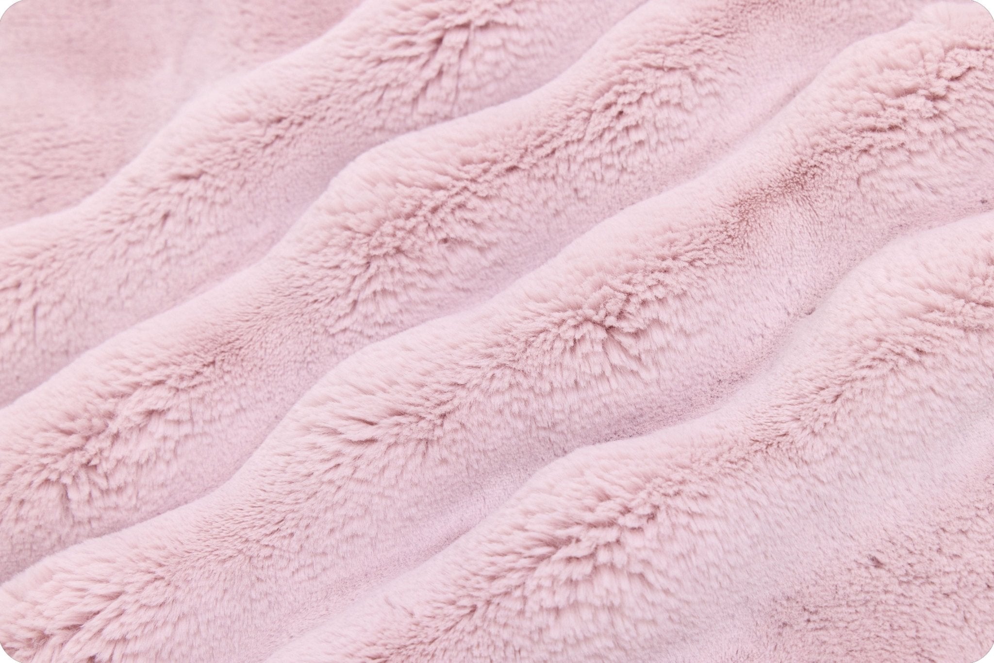 Shannon Fabrics Luxe Cuddle Powderpuff Rosewater Minky Fabric - On Pins & Needles Quilting Co.