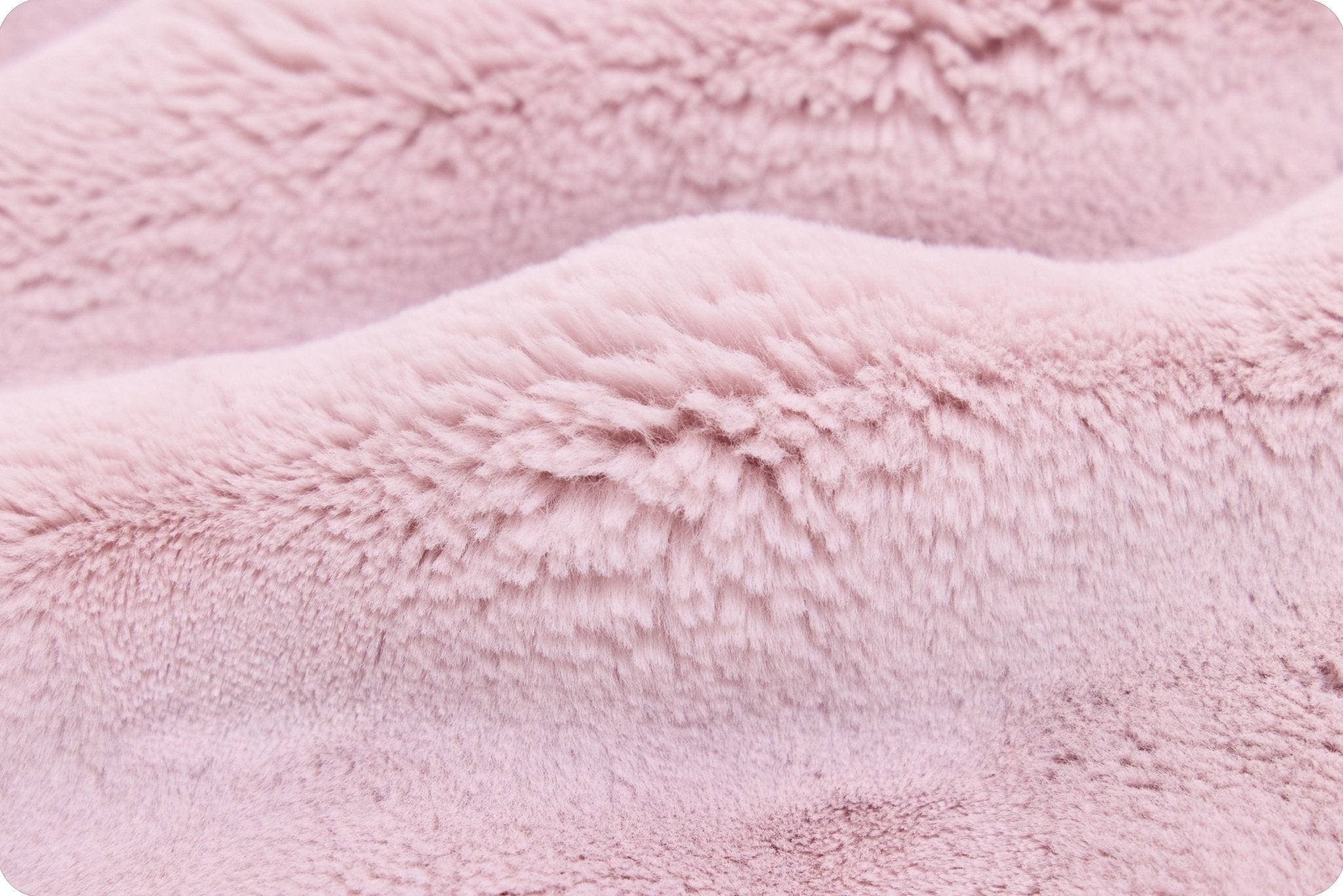 Shannon Fabrics Luxe Cuddle Powderpuff Rosewater Minky Fabric - On Pins & Needles Quilting Co.