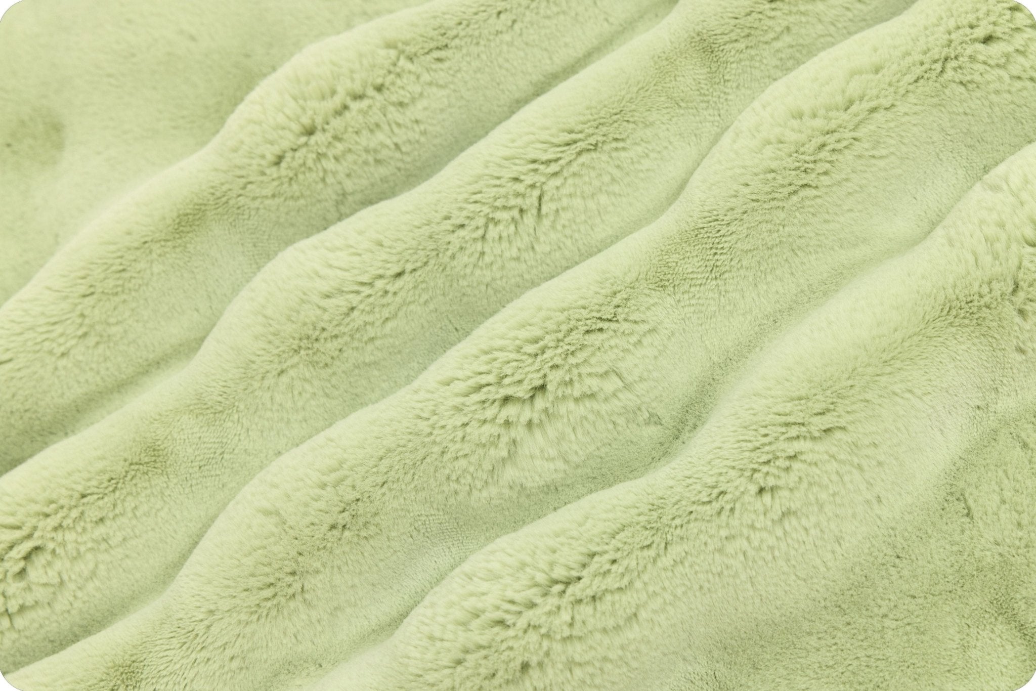 Shannon Fabrics Luxe Cuddle Powderpuff Thyme Minky Fabric - On Pins & Needles Quilting Co.