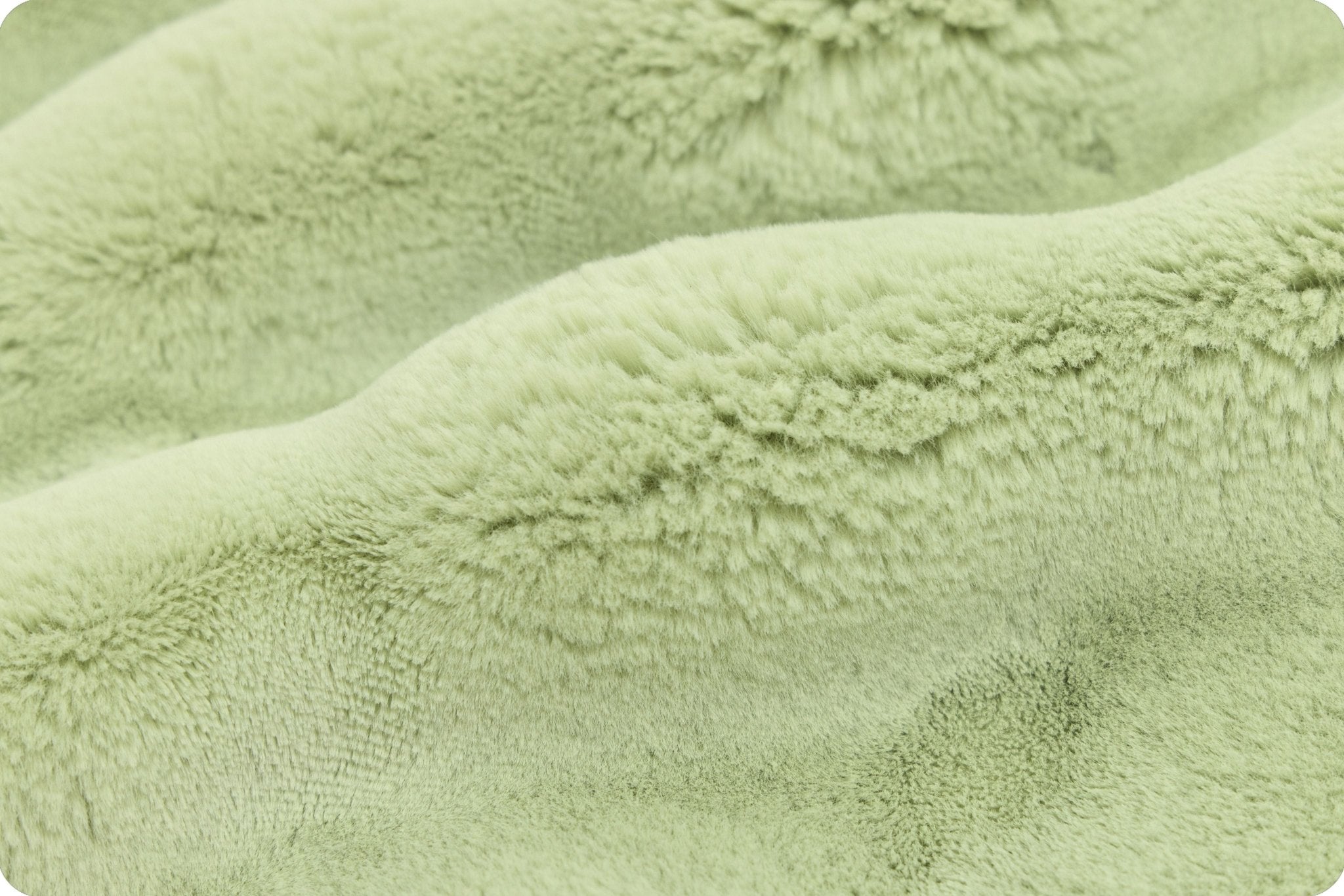 Shannon Fabrics Luxe Cuddle Powderpuff Thyme Minky Fabric - On Pins & Needles Quilting Co.