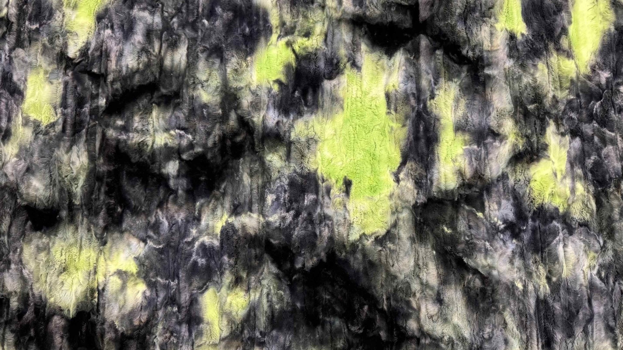 Shannon Fabrics Luxe Cuddle Sorbet Beetle Minky Fabric - On Pins & Needles Quilting Co.