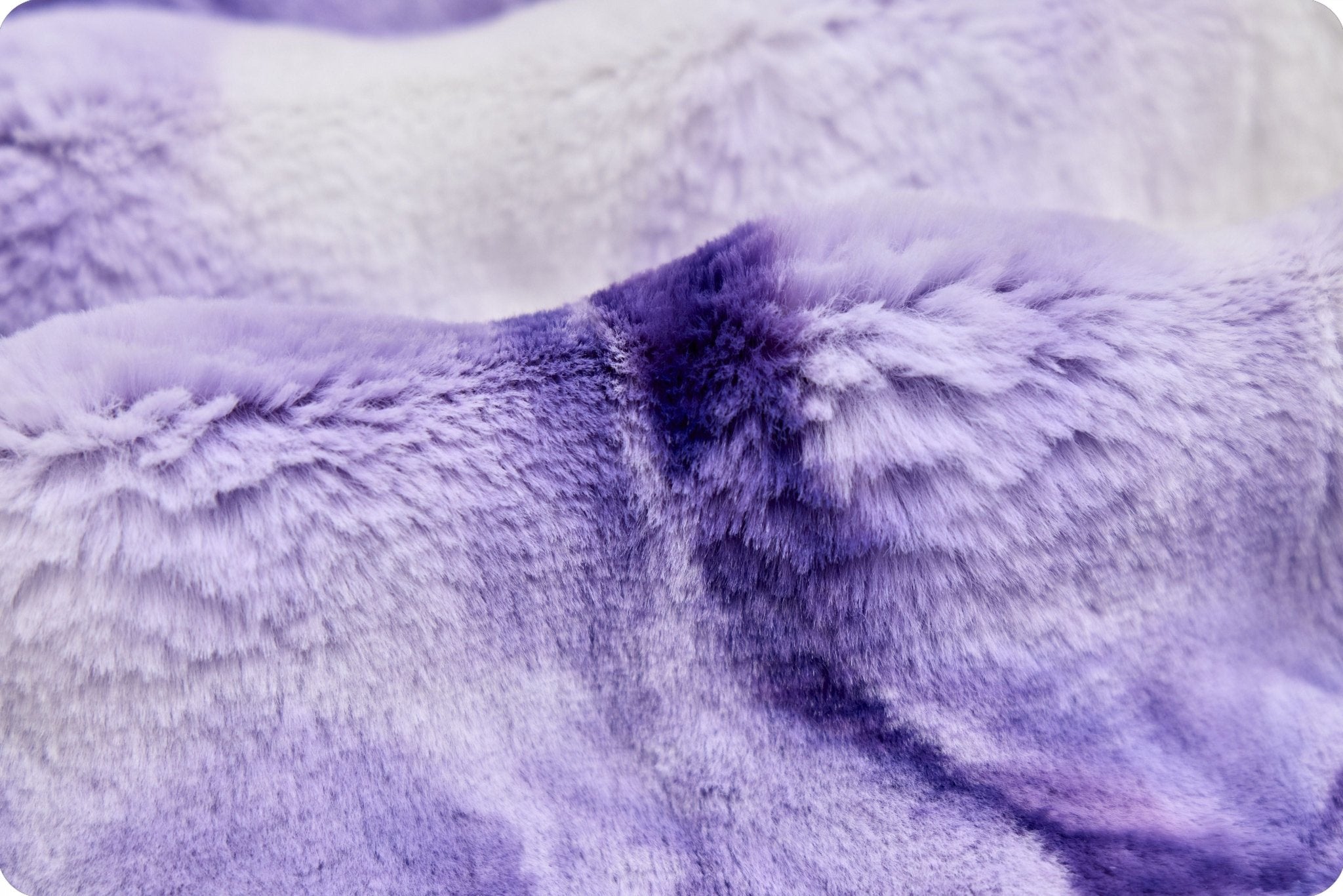 Shannon Fabrics Luxe Cuddle Sorbet Powderpuff Bellflower Minky Fabric - On Pins & Needles Quilting Co.