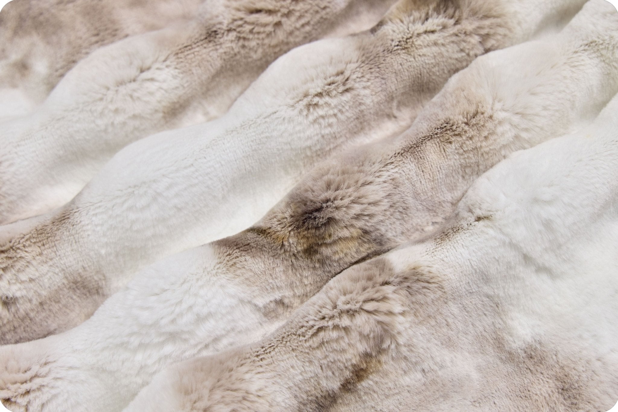 Shannon Fabrics Luxe Cuddle Sorbet Powderpuff Truffle Minky Fabric - On Pins & Needles Quilting Co.