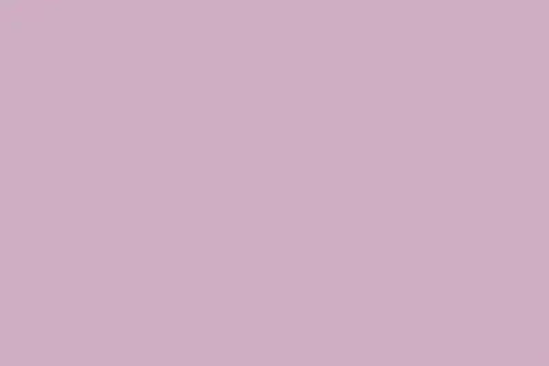 Shannon Fabrics Quilting Cuddle Solid Corsage 1.5mm 45" Wide Minky Fabric - On Pins & Needles Quilting Co.