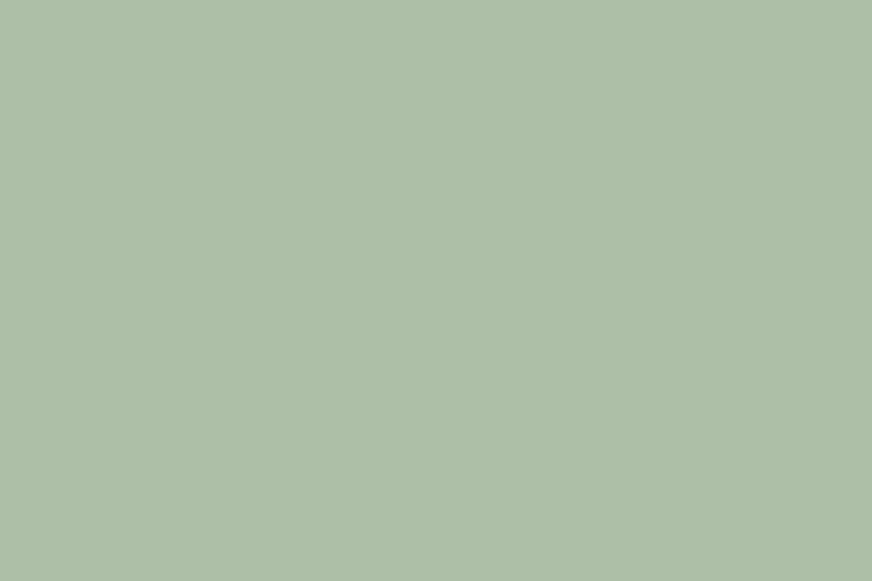Shannon Fabrics Quilting Cuddle Solid Meadow 1.5mm 45" Wide Minky Fabric - On Pins & Needles Quilting Co.