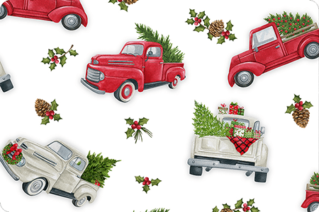 Shannon Fabrics 10" x 60" Cuddle Minky Print Fabric Strips - On Pins & Needles Quilting Co.