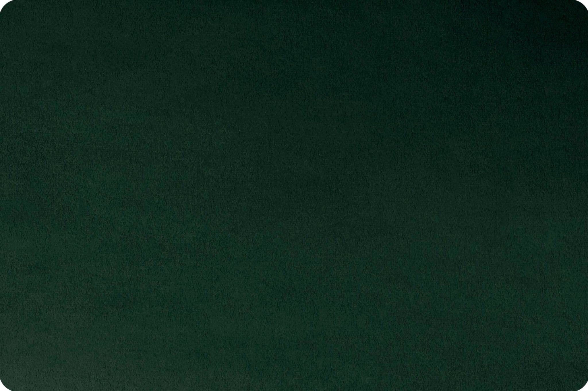 Shannon Fabrics Extra Wide 90" Solid Cuddle 3 Spruce Minky Fabric - On Pins & Needles Quilting Co.