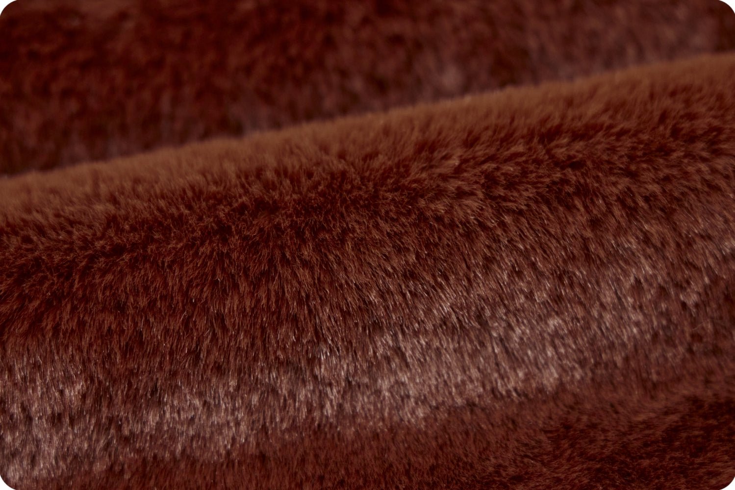 Shannon Fabrics Luxe Cuddle Encore Autumn Minky Fabric - On Pins & Needles Quilting Co.