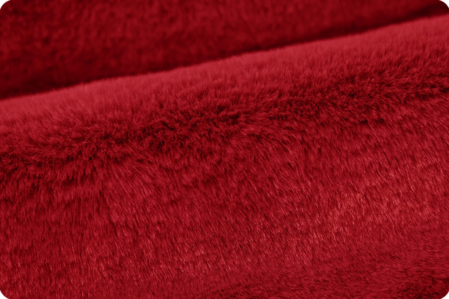 Shannon Fabrics Luxe Cuddle Encore Cardinal Minky Fabric - On Pins & Needles Quilting Co.