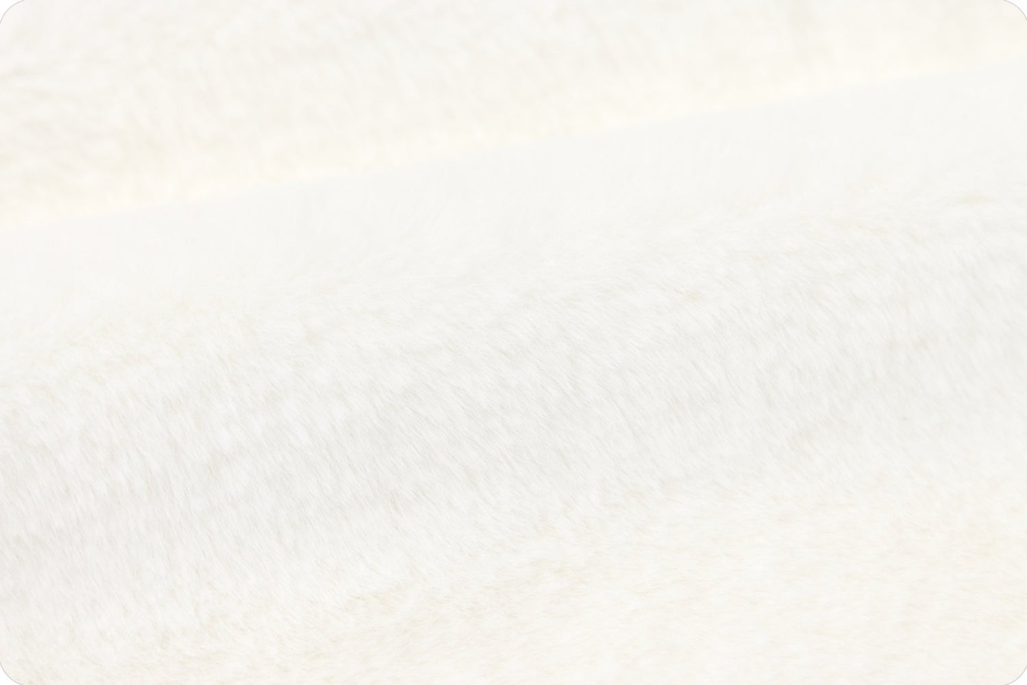 Shannon Fabrics Luxe Cuddle Encore Natural Minky Fabric - On Pins & Needles Quilting Co.