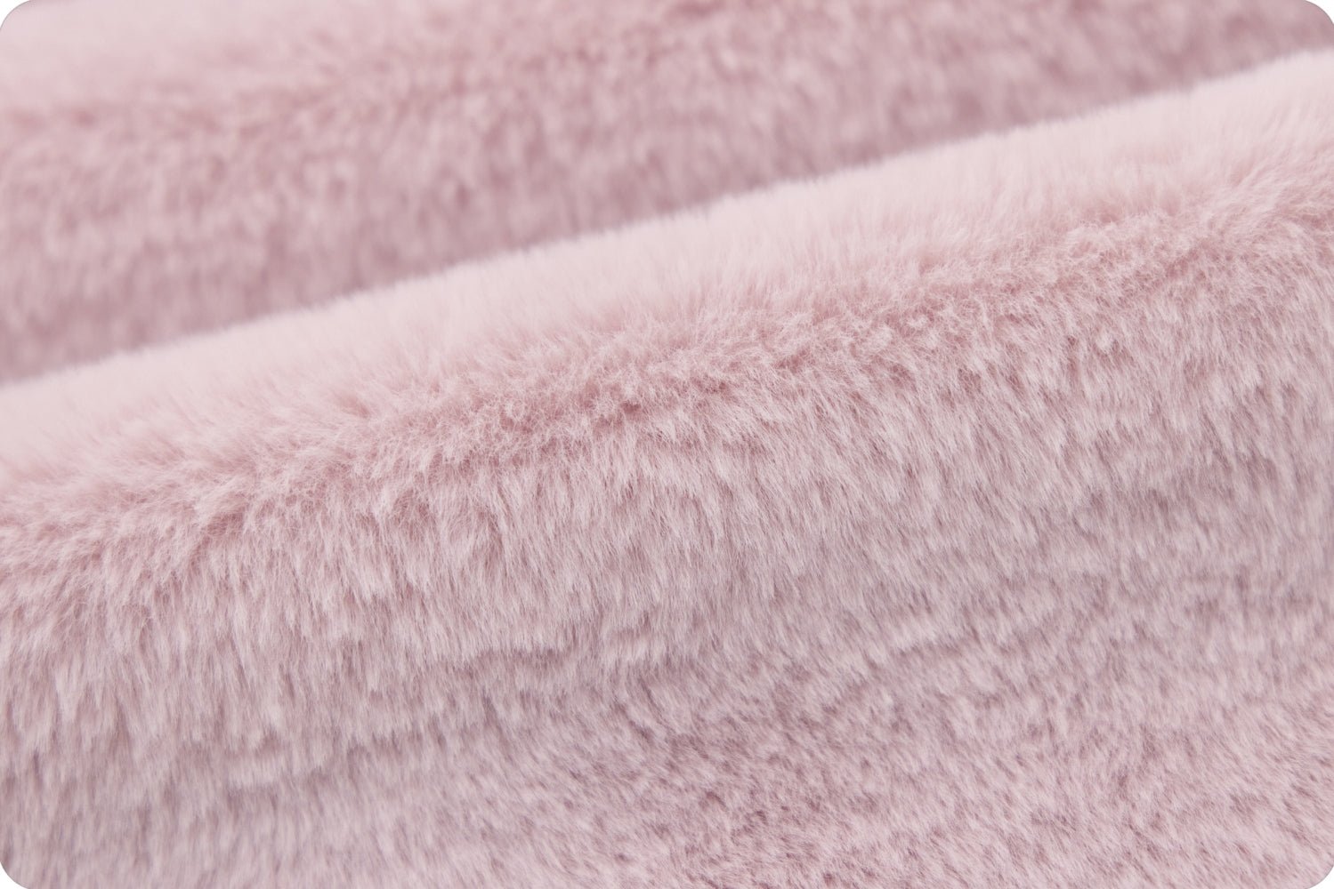 Shannon Fabrics Luxe Cuddle Encore Rosewater Minky Fabric - On Pins & Needles Quilting Co.