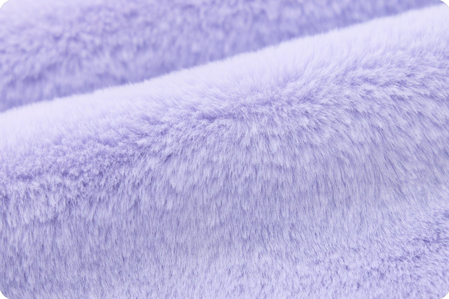 Shannon Fabrics Luxe Cuddle Encore Sweet Iris Minky Fabric - On Pins & Needles Quilting Co.