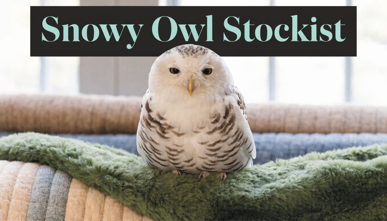 Shannon Fabrics Snowy Owl Stockist: Your OPN Guide - On Pins & Needles Quilting Co.
