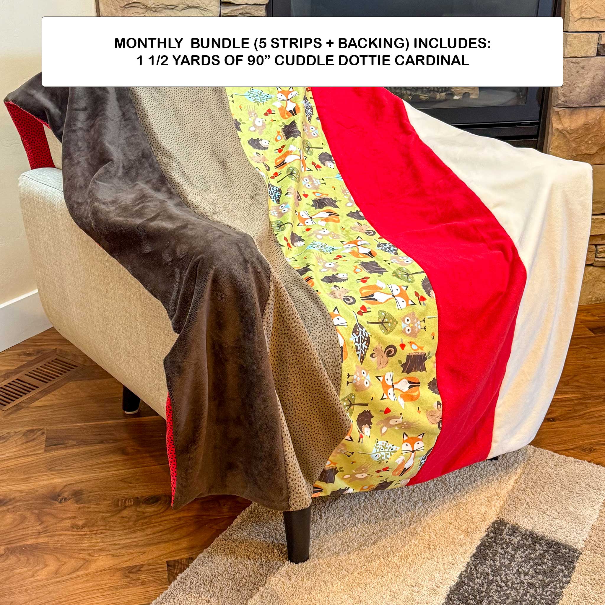 Monthly Bundle 5 Pack of 10" x 60" Cuddle Strips (Sep26) - Shannon Fabrics