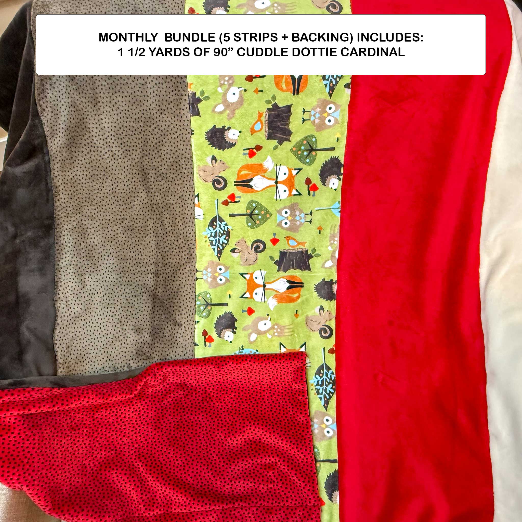 Monthly Bundle 5 Pack of 10" x 60" Cuddle Strips (Sep26) - Shannon Fabrics