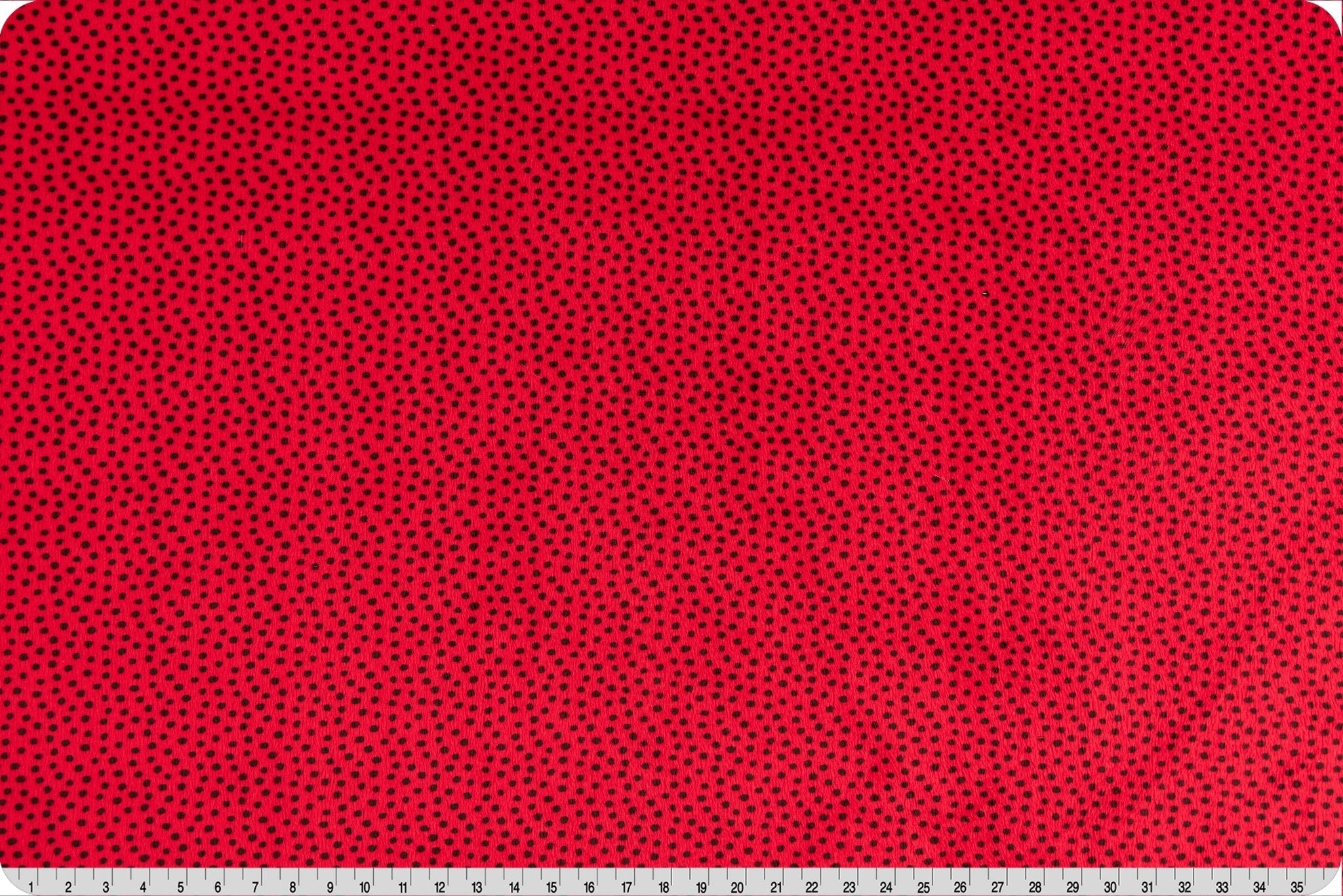 Shannon Fabrics Extra Wide 90" Dottie Cuddle Cardinal Minky Fabric - On Pins & Needles Quilting Co.