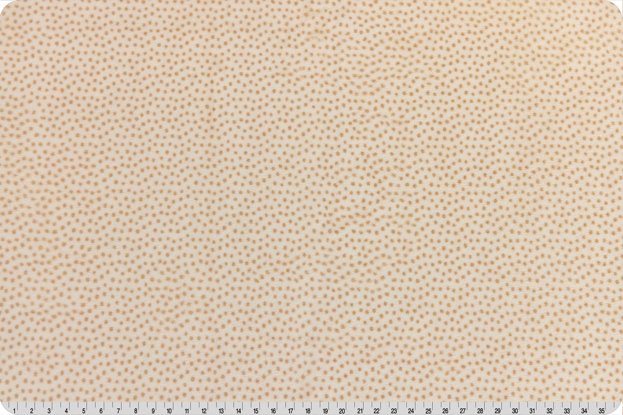 Shannon Fabrics Extra Wide 90" Dottie Cuddle Sand Minky Fabric - On Pins & Needles Quilting Co.