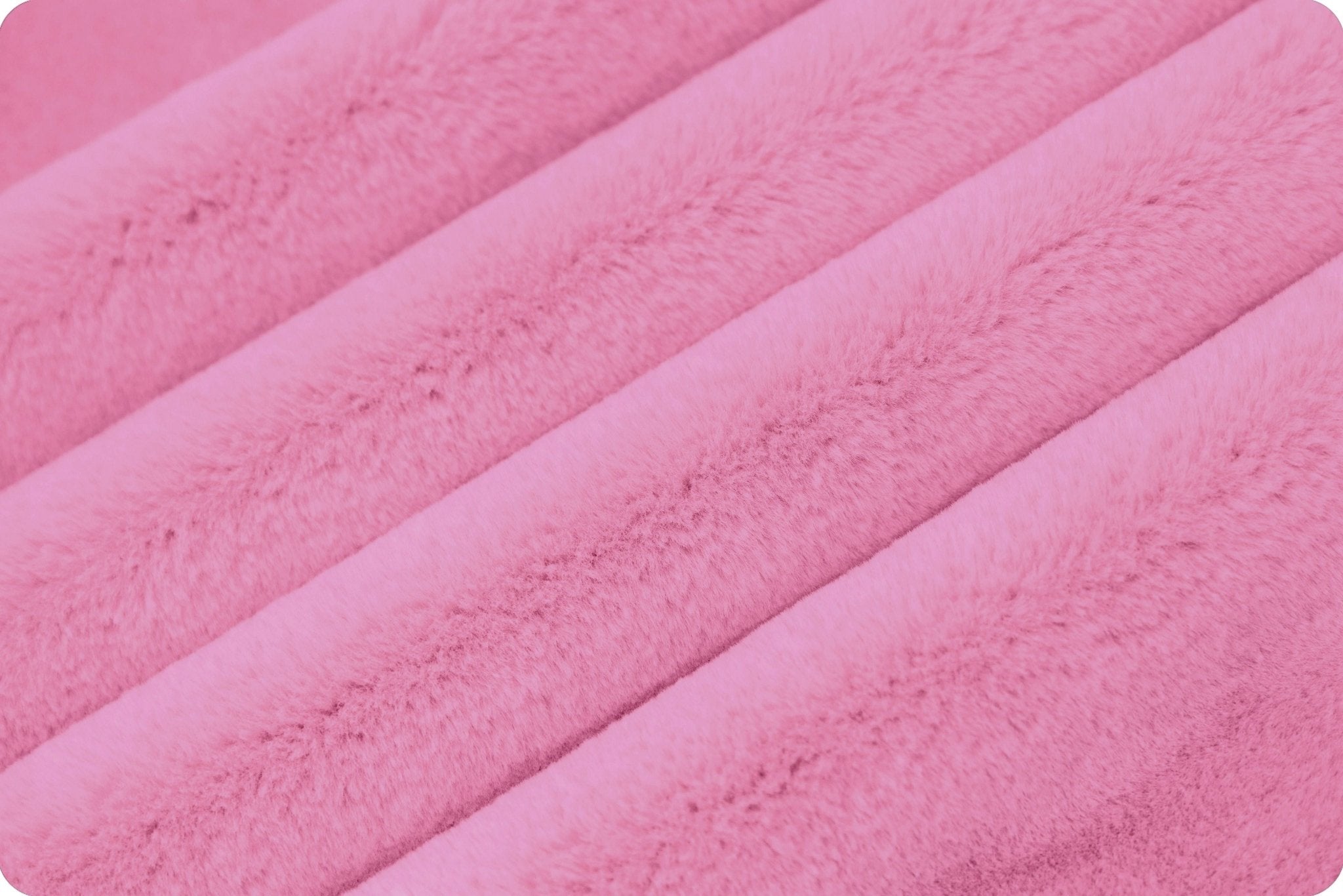 Shannon Fabrics Luxe Cuddle Encore Hot Pink Minky Fabric - On Pins & Needles Quilting Co.