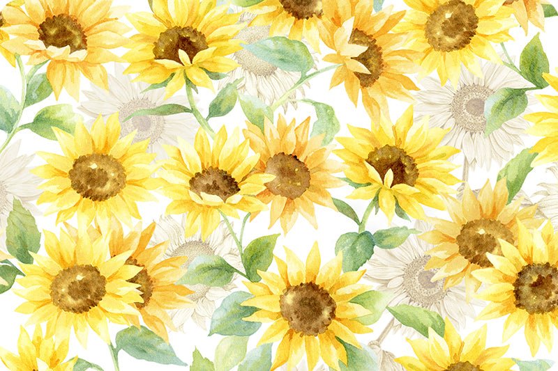 Shannon Fabrics Double-Sided Sunflowers Cloud Cuddle Sunshine Minky Fabric - On Pins & Needles Quilting Co.