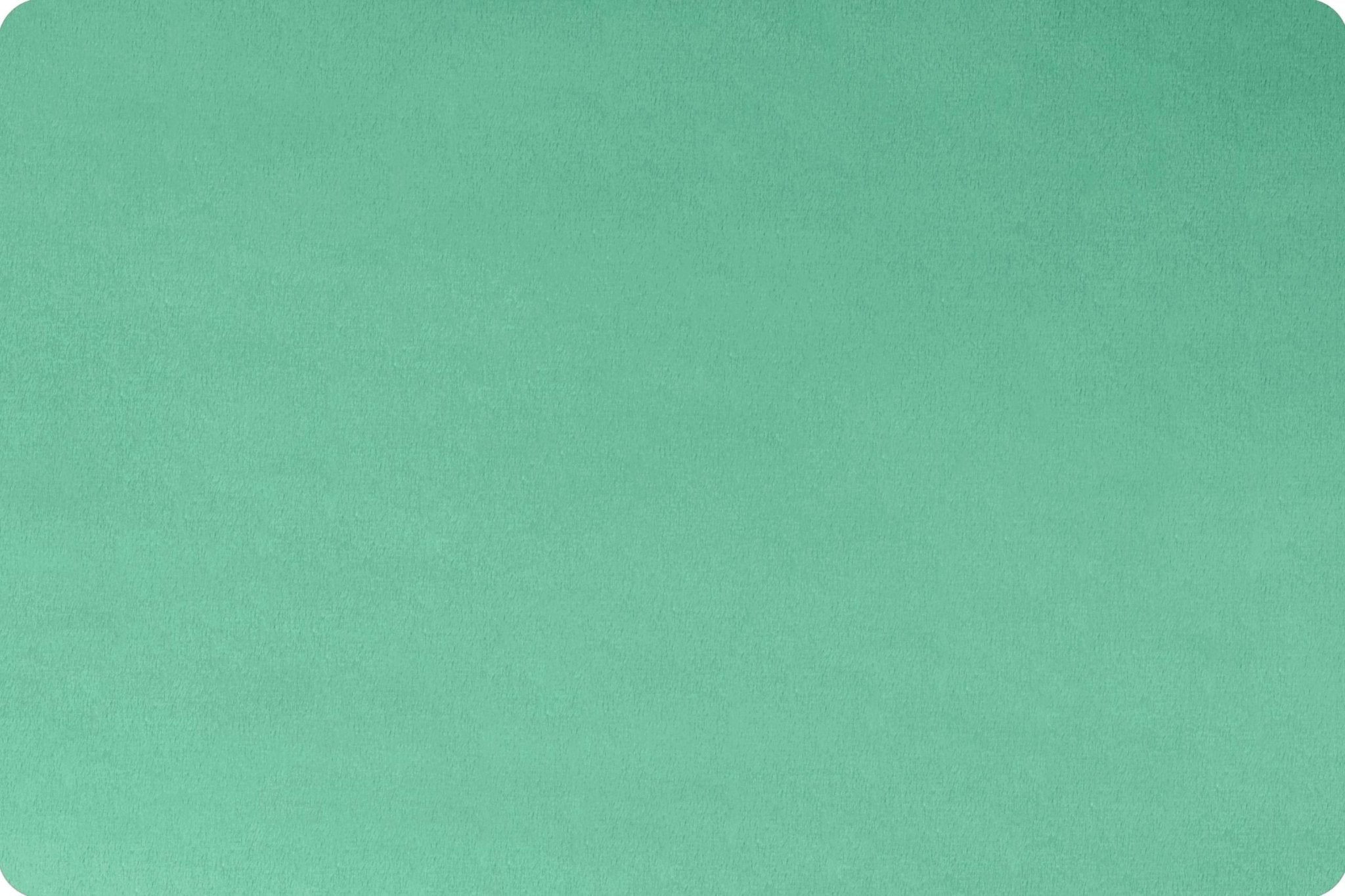 Shannon Fabrics Extra Wide 90" Solid Cuddle 3 Spearmint Minky Fabric - On Pins & Needles Quilting Co.