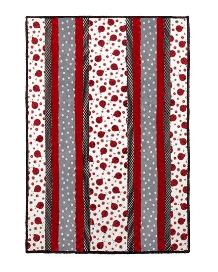 Shannon Fabrics Fabulous 5 Lovebug Cuddle Minky Blanket Kit 38"x58" - On Pins & Needles Quilting Co.