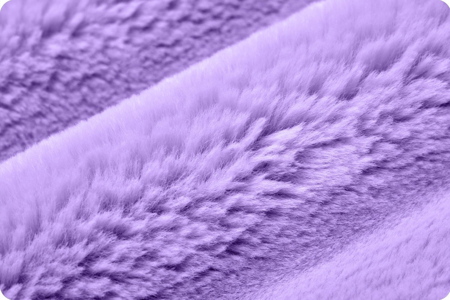 Shannon Fabrics Luxe Cuddle Bunny Lavender Minky Fabric - On Pins & Needles Quilting Co.